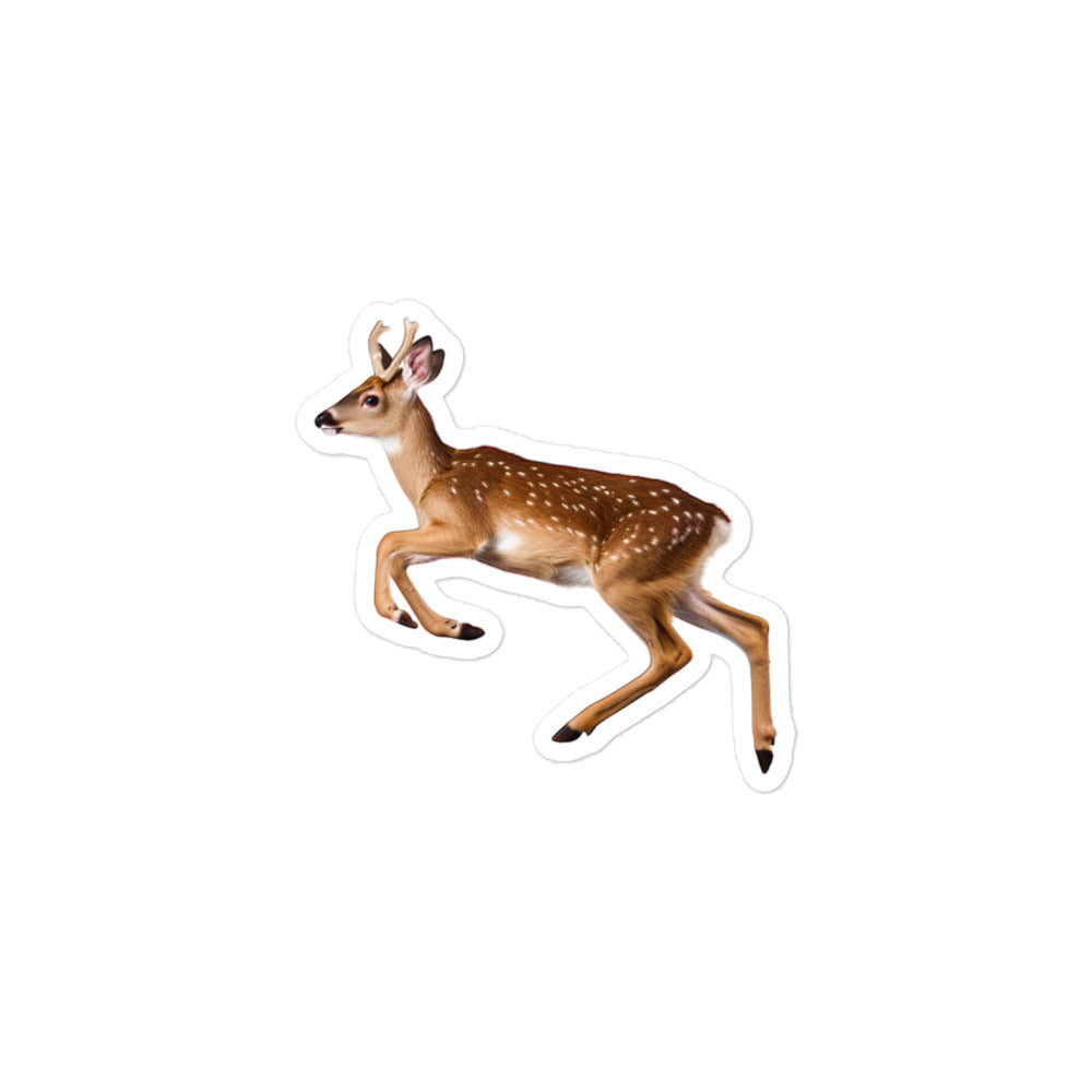 Fallow Deer Sticker