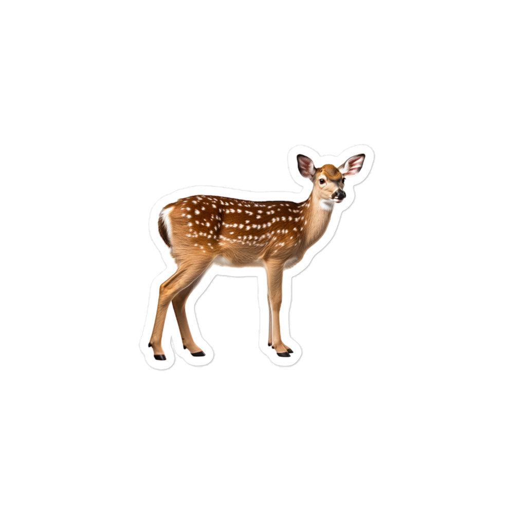 Fallow Deer Sticker