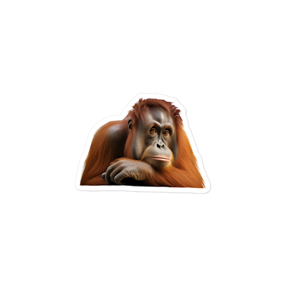 Orangutan Sticker