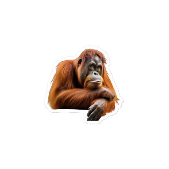 Orangutan Sticker