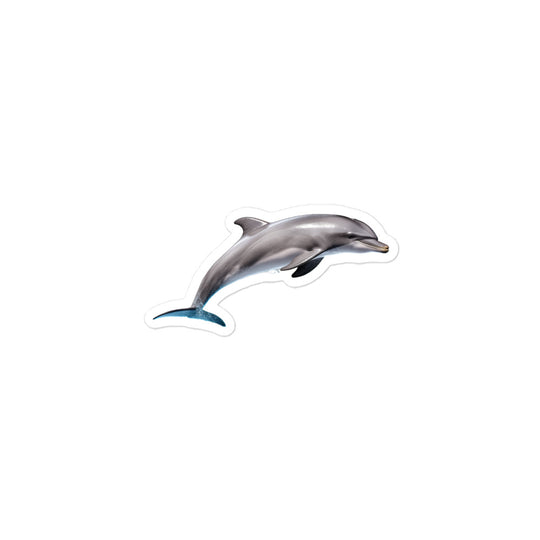 Dolphins Sticker