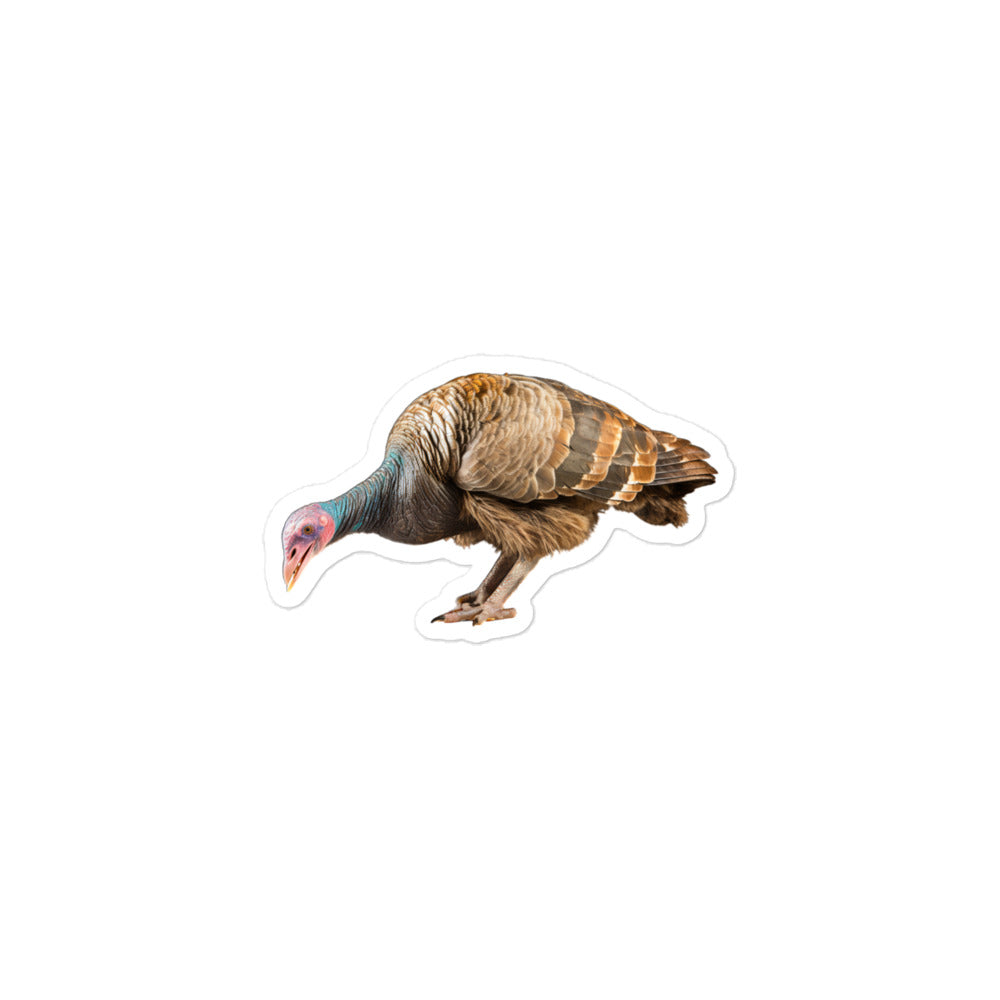 Turkey Sticker