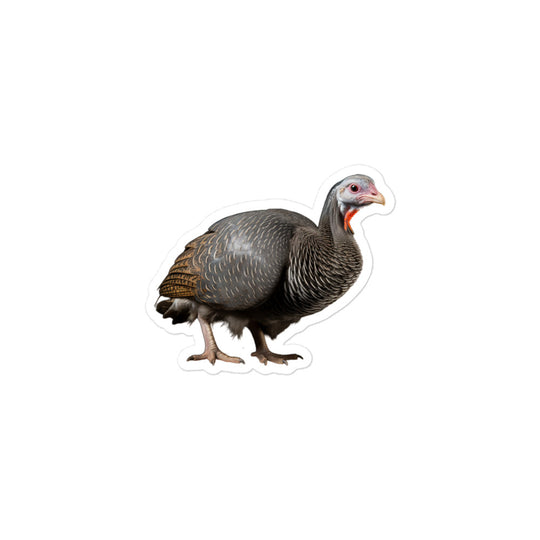 Guinea fowl Sticker