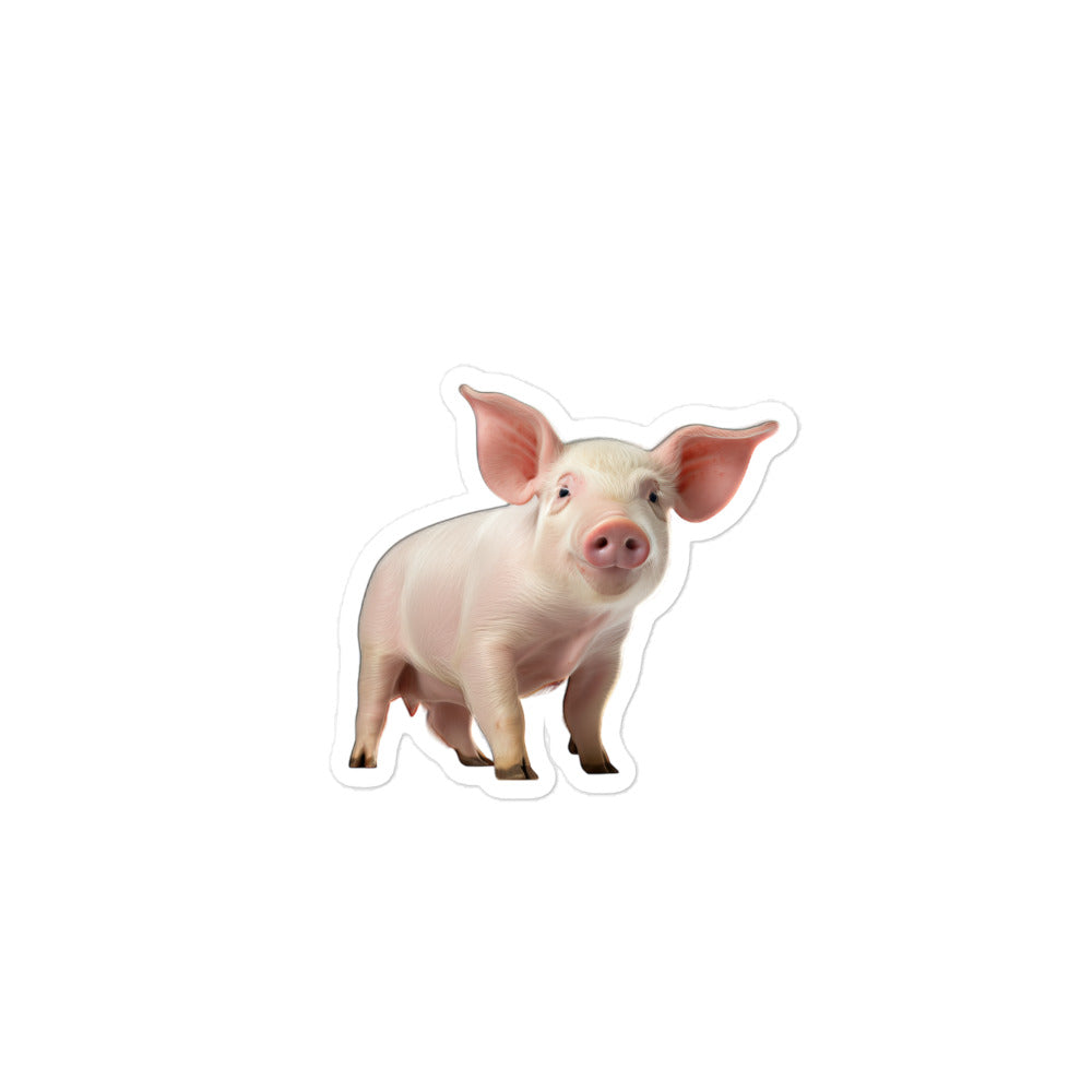 Pig Sticker