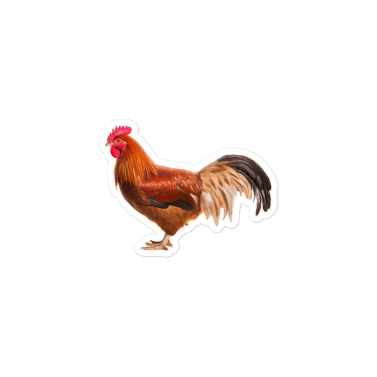 Chicken Sticker