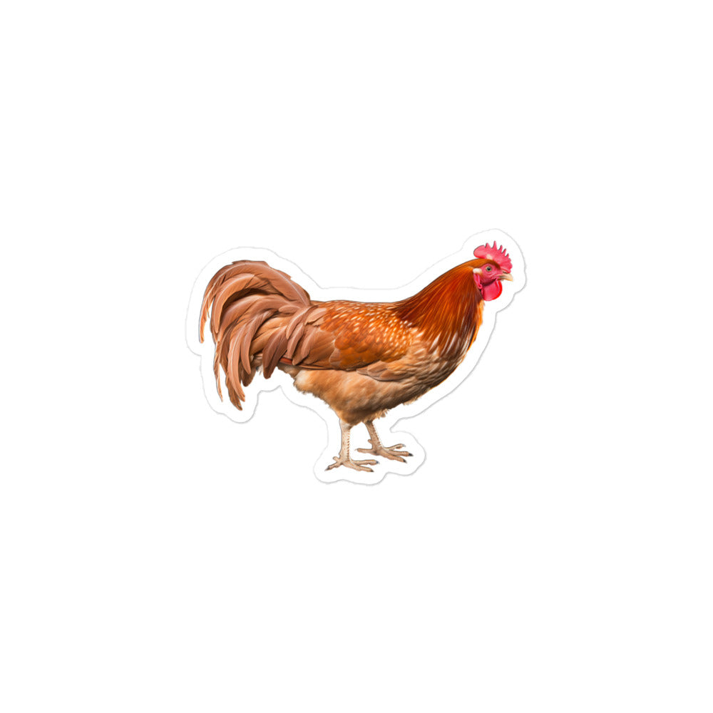 Chicken Sticker