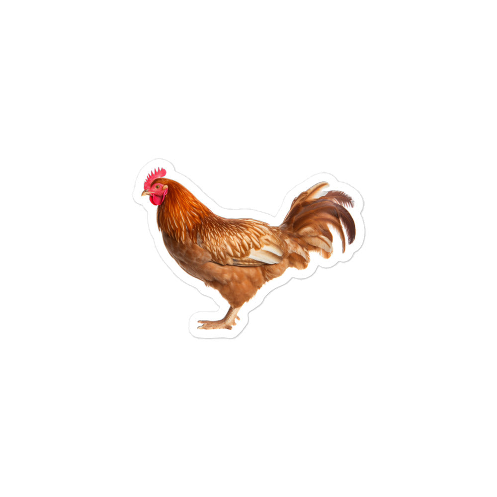 Chicken Sticker