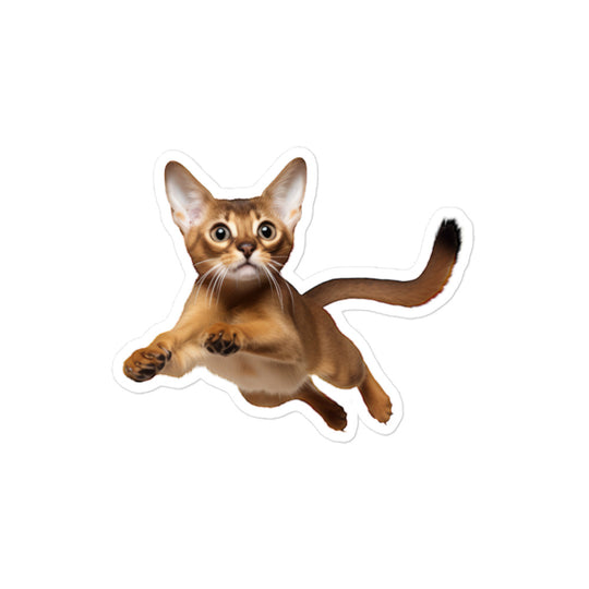 Abyssinian Sticker - Stickerfy.ai