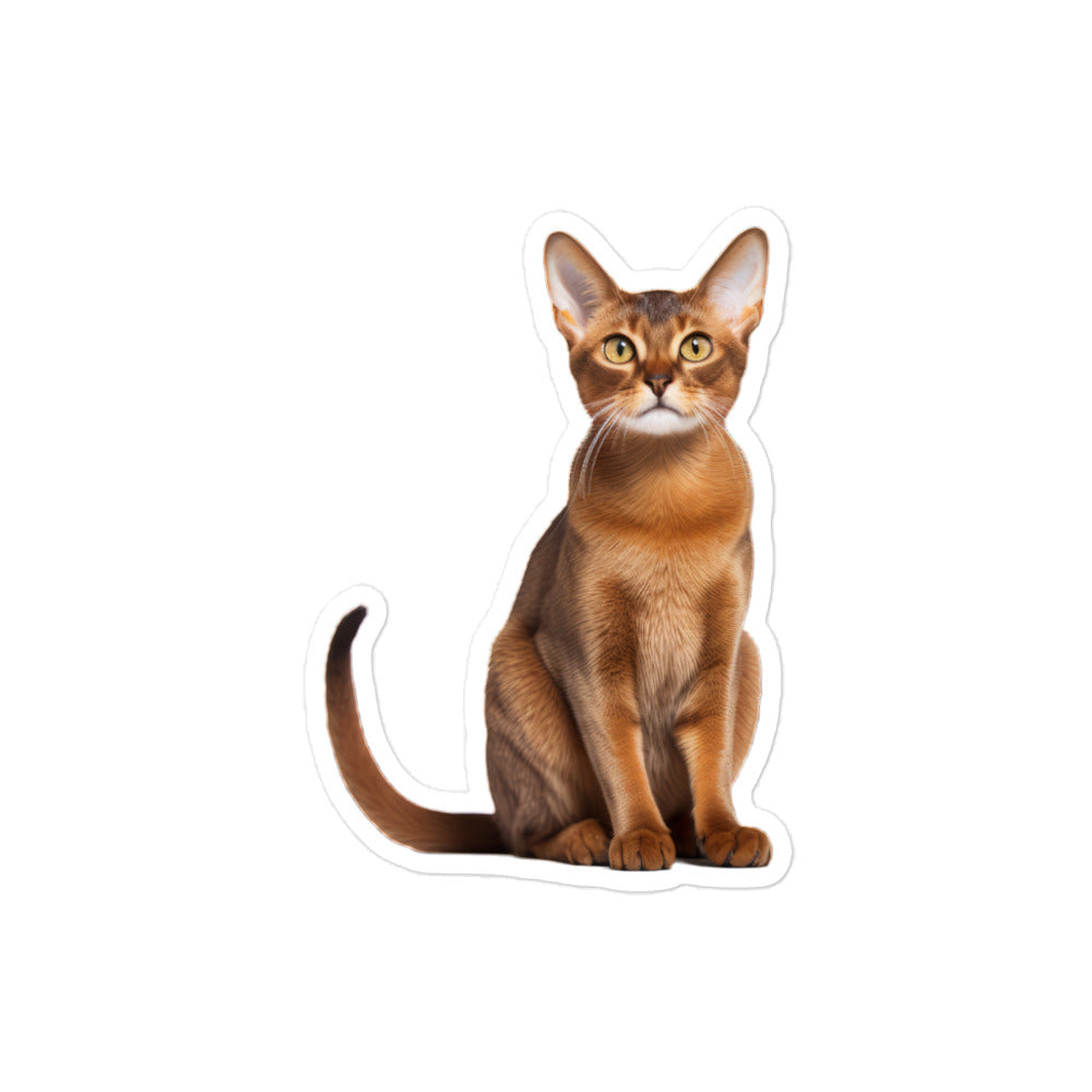 Abyssinian Sticker - Stickerfy.ai