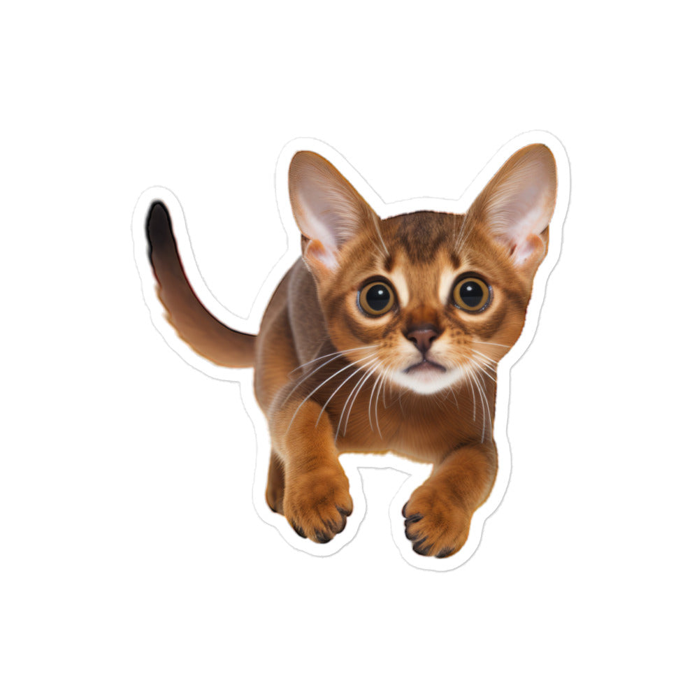 Abyssinian Sticker - Stickerfy.ai