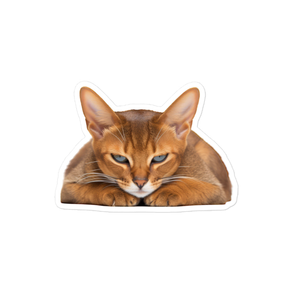 Abyssinian Sticker - Stickerfy.ai