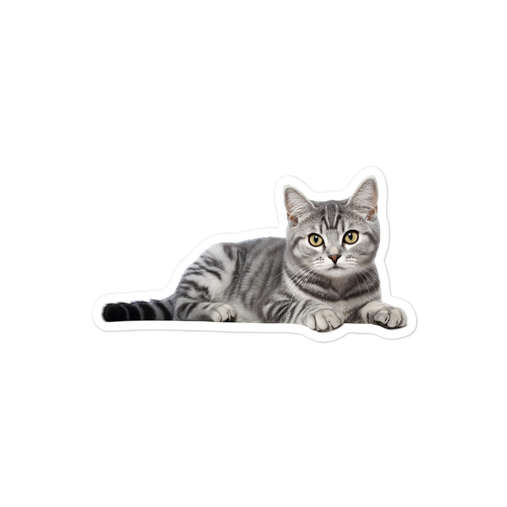 American Shorthair Sticker - Stickerfy.ai