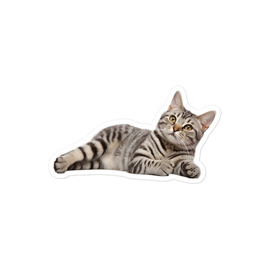 American Shorthair Sticker - Stickerfy.ai