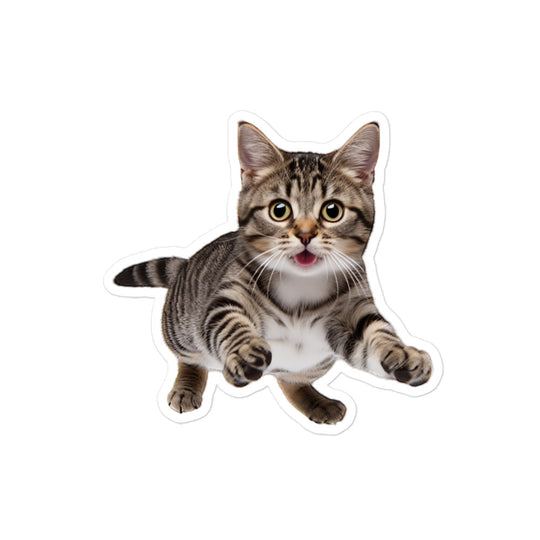 American Shorthair Sticker - Stickerfy.ai