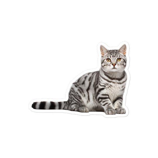 American Shorthair Sticker - Stickerfy.ai