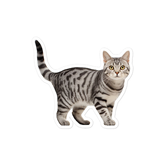 American Shorthair Sticker - Stickerfy.ai