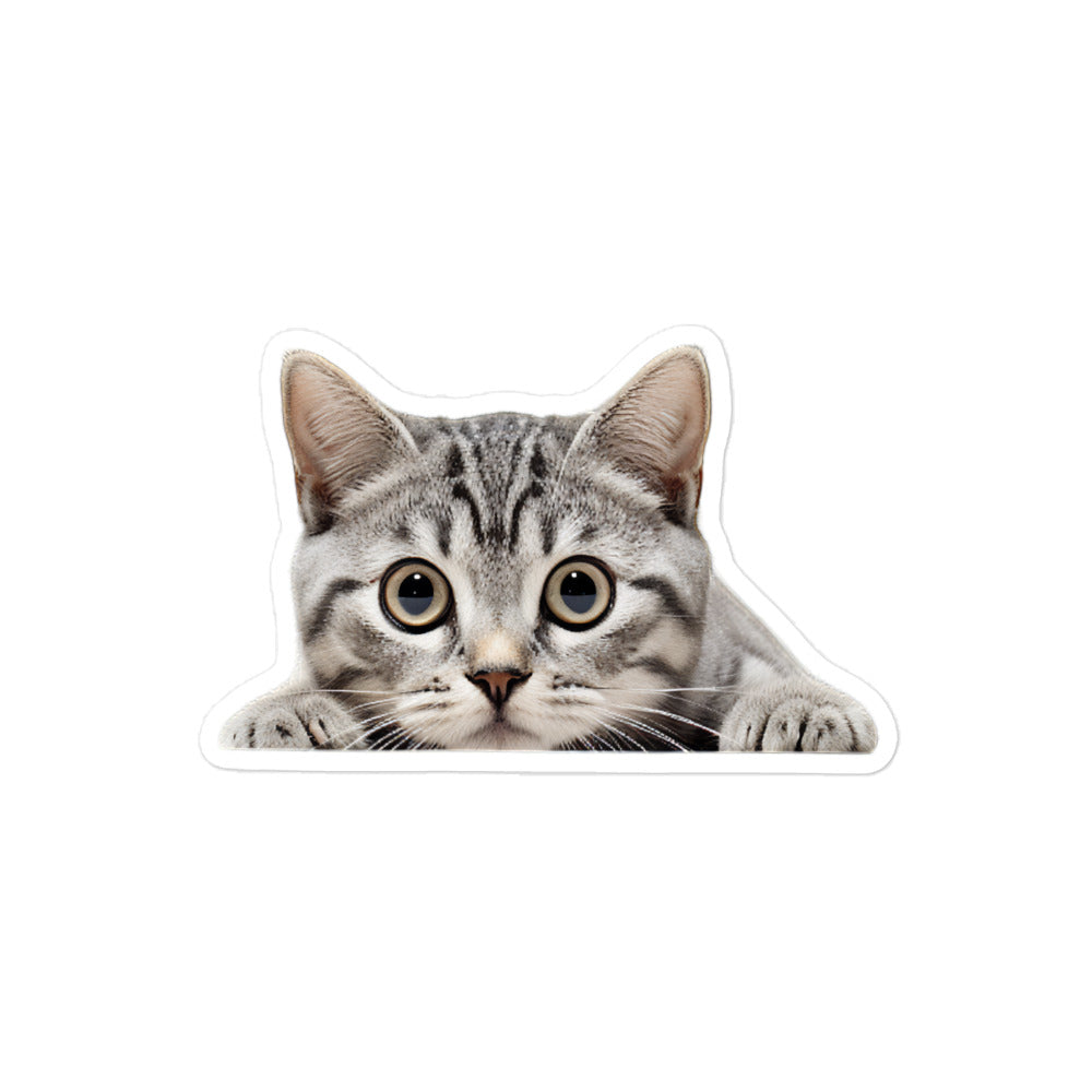 American Shorthair Sticker - Stickerfy.ai