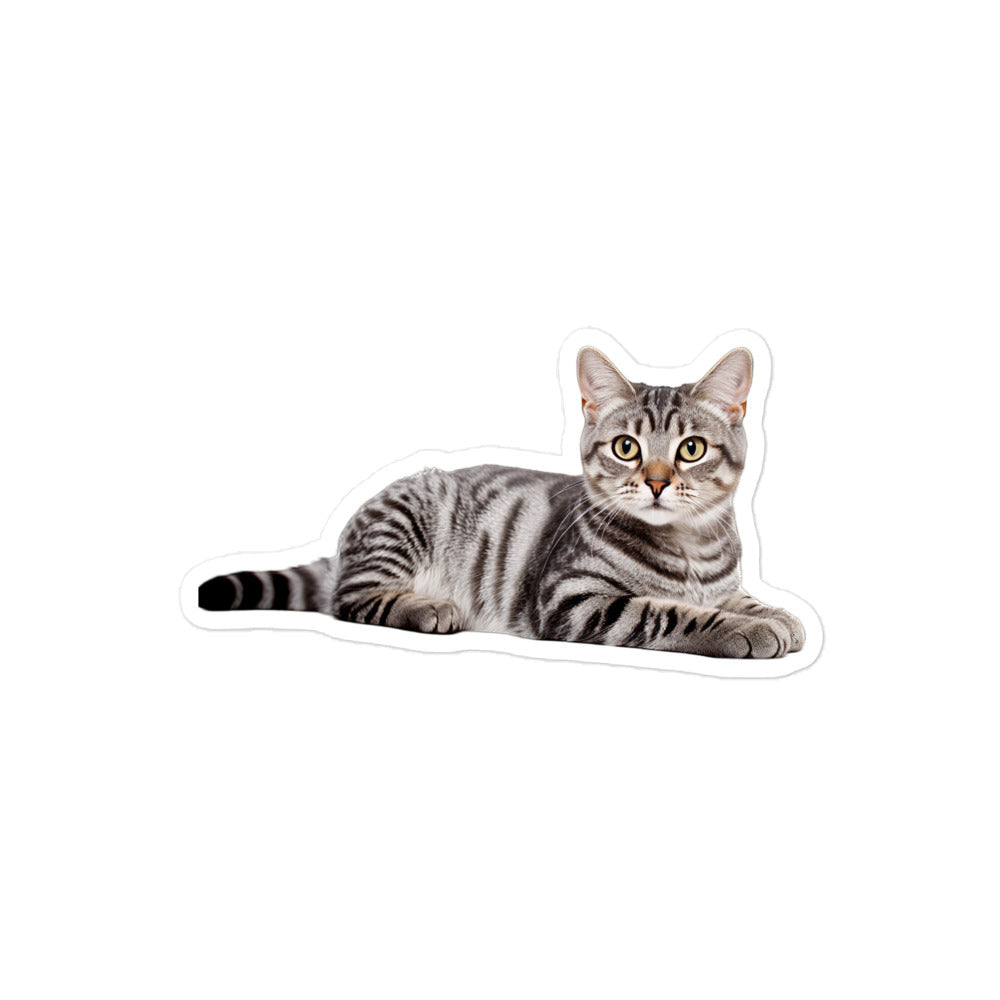 American Shorthair Sticker - Stickerfy.ai