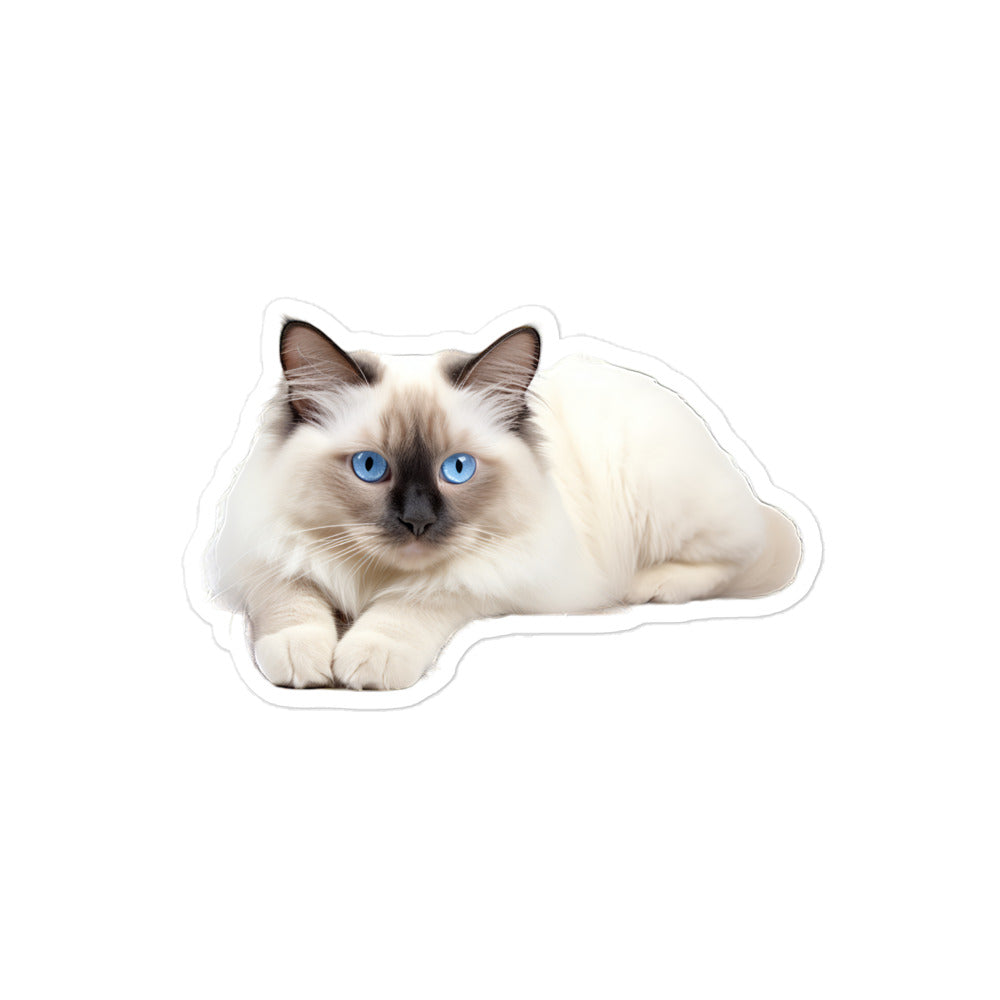 Birman Sticker - Stickerfy.ai