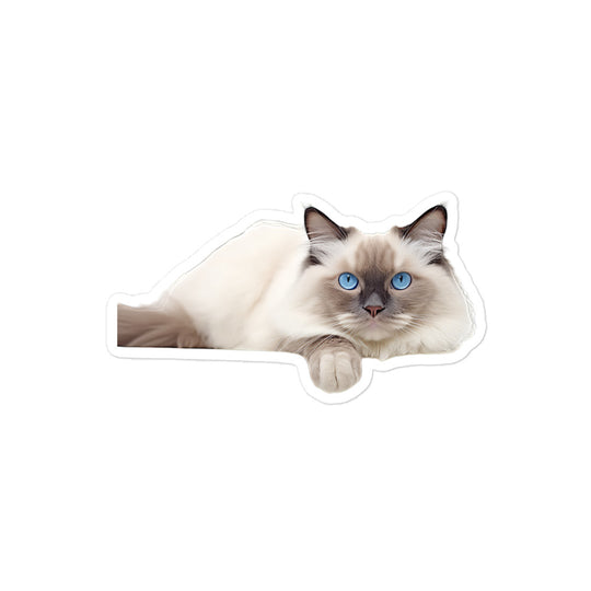 Birman Sticker - Stickerfy.ai