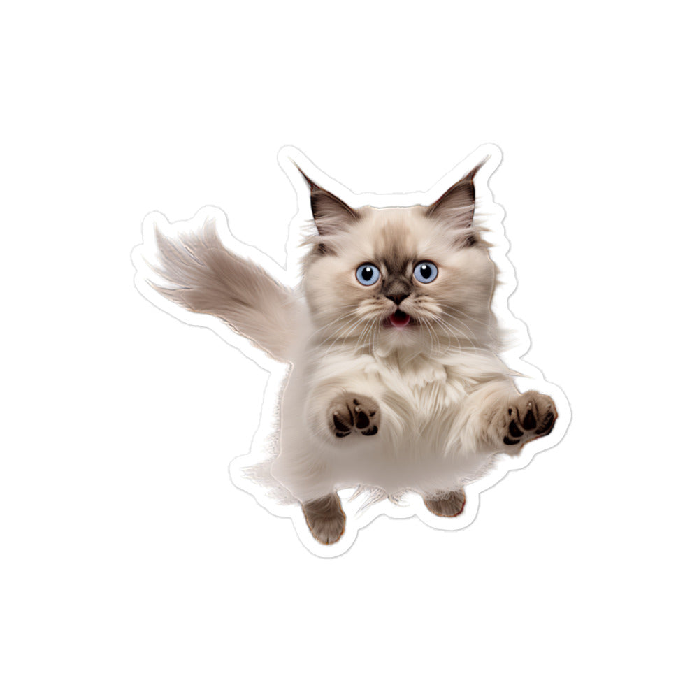 Birman Sticker - Stickerfy.ai