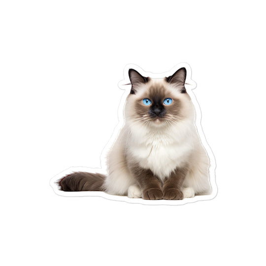 Birman Sticker - Stickerfy.ai