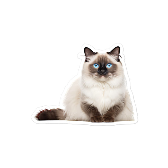 Birman Sticker - Stickerfy.ai