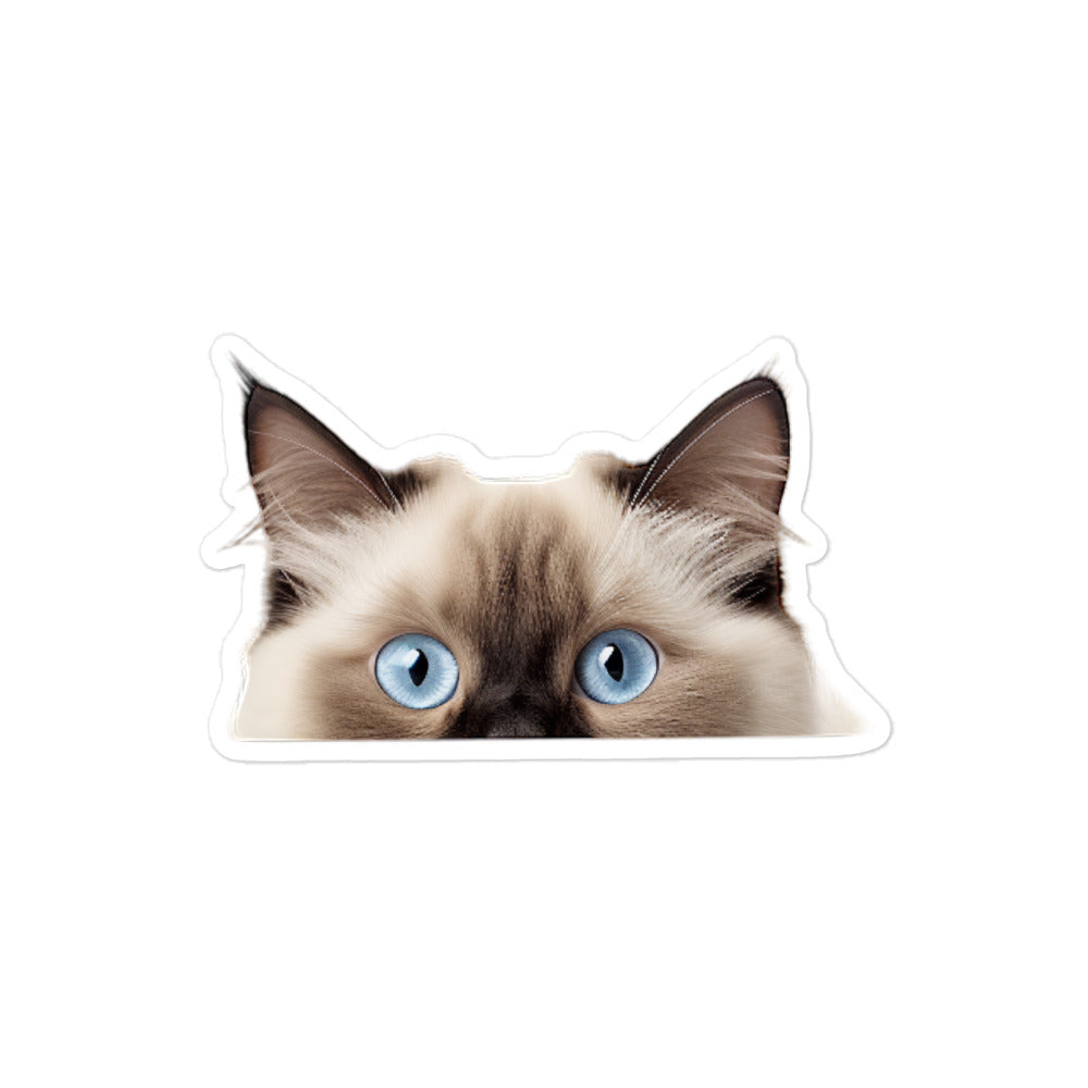 Birman Sticker - Stickerfy.ai