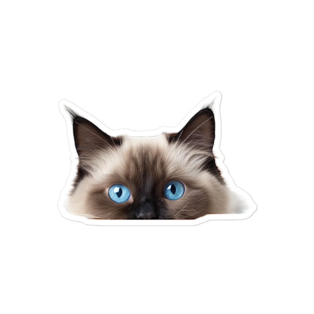 Birman Sticker - Stickerfy.ai