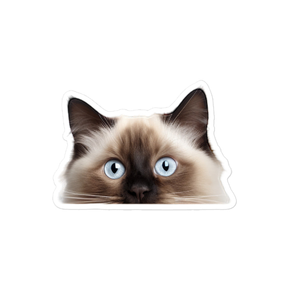 Birman Sticker - Stickerfy.ai