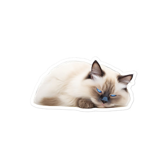 Birman Sticker - Stickerfy.ai