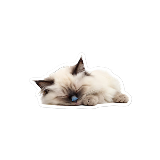 Birman Sticker - Stickerfy.ai