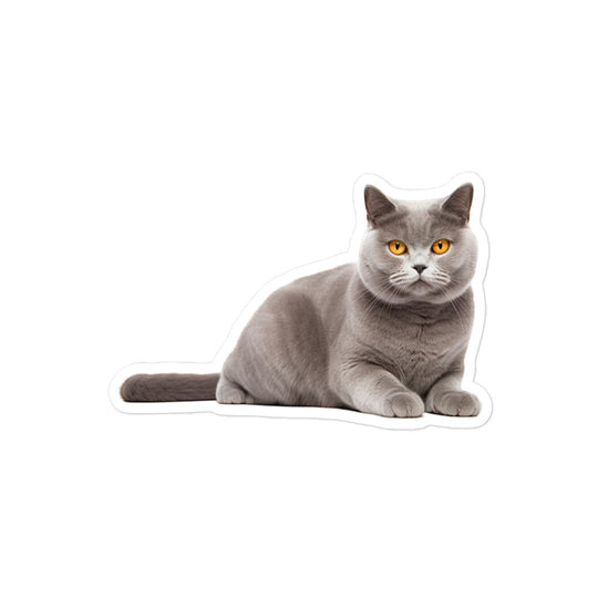 British Shorthair Sticker - Stickerfy.ai