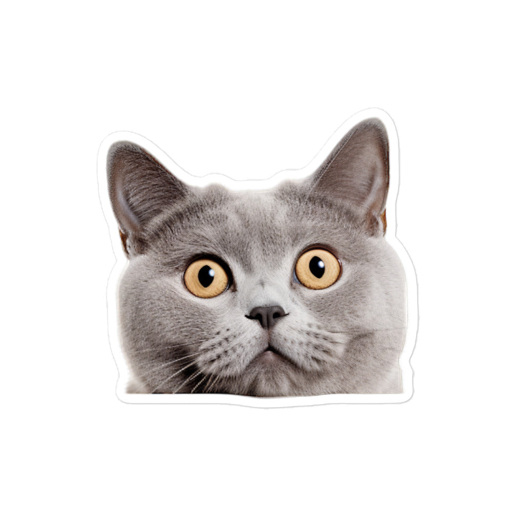 British Shorthair Sticker - Stickerfy.ai