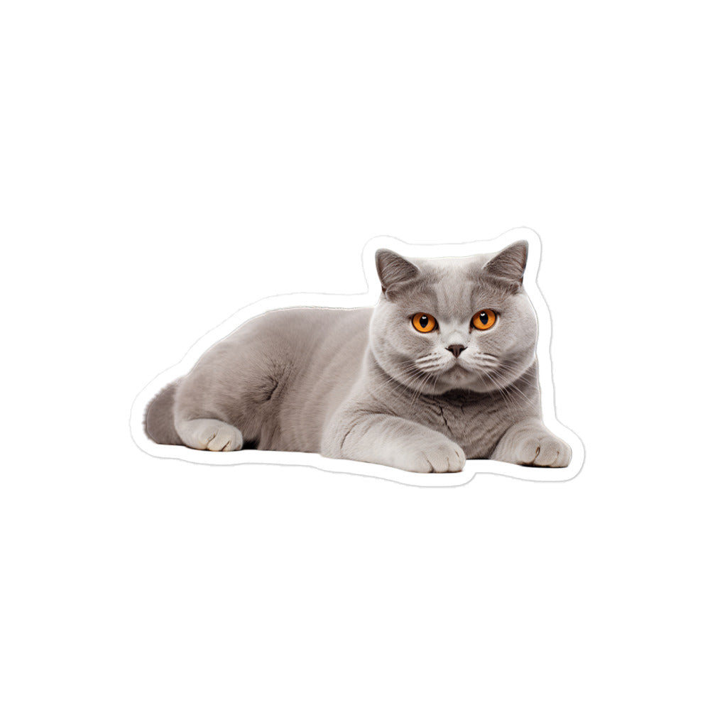 British Shorthair Sticker - Stickerfy.ai