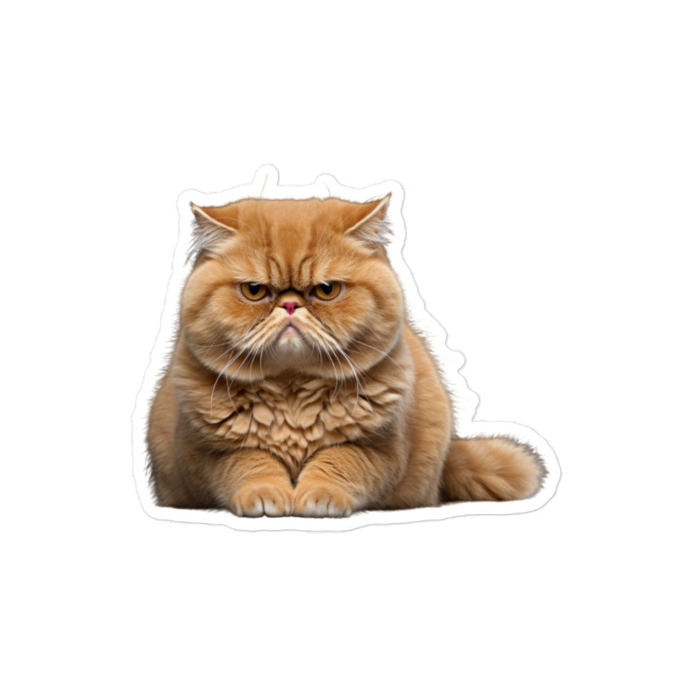 Exotic Shorthair Sticker - Stickerfy.ai