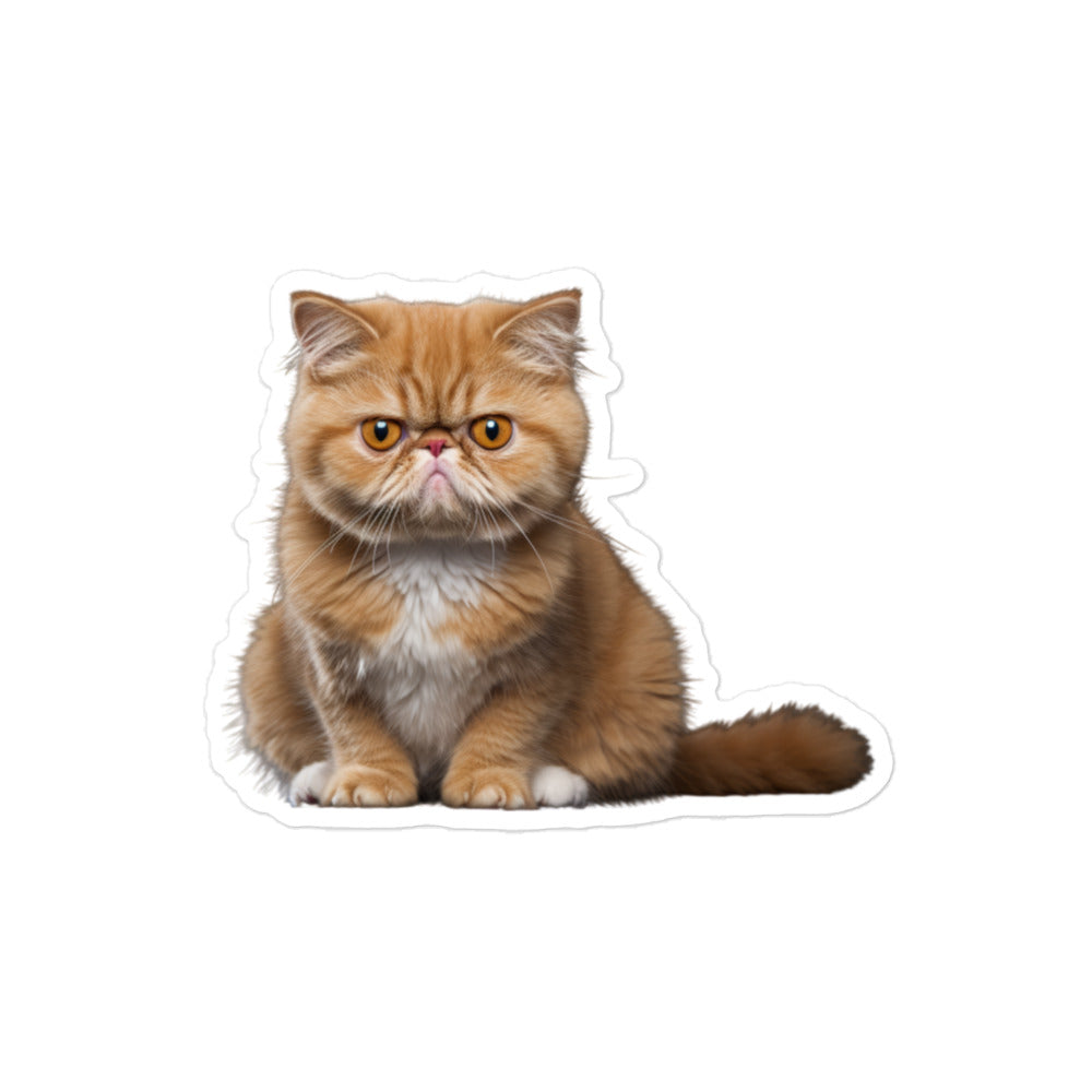 Exotic Shorthair Sticker - Stickerfy.ai