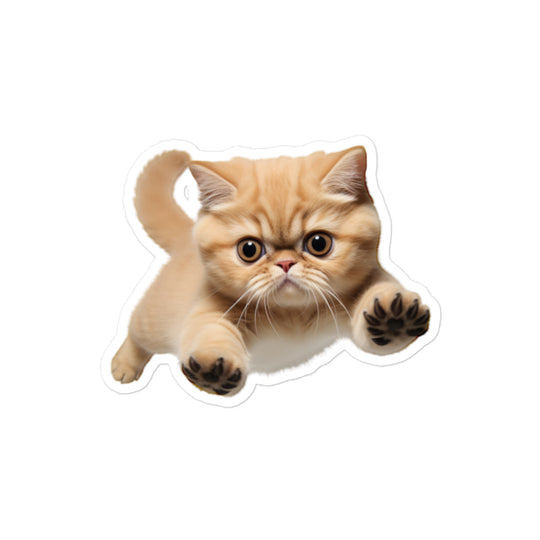 Exotic Shorthair Sticker - Stickerfy.ai