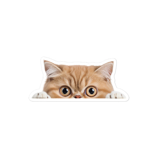 Exotic Shorthair Sticker - Stickerfy.ai