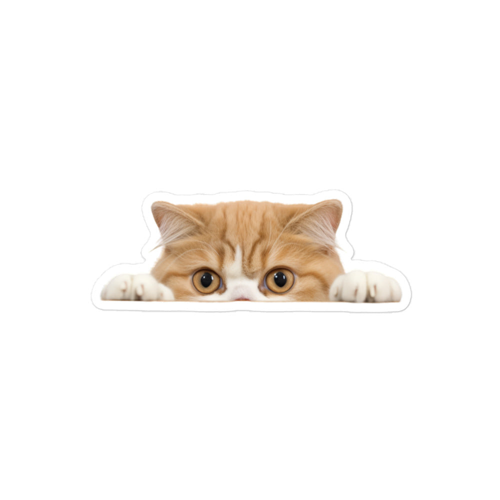 Exotic Shorthair Sticker - Stickerfy.ai