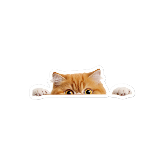 Exotic Shorthair Sticker - Stickerfy.ai