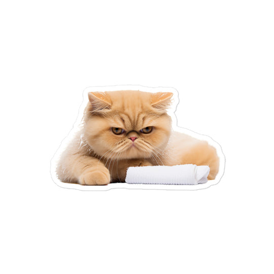 Exotic Shorthair Sticker - Stickerfy.ai