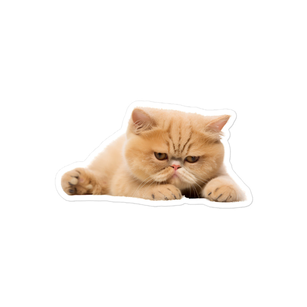 Exotic Shorthair Sticker - Stickerfy.ai