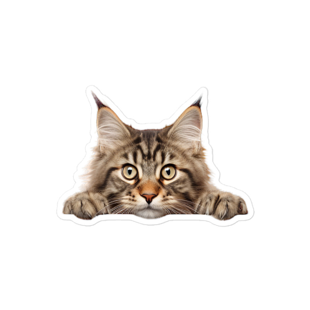 Maine Coon Sticker - Stickerfy.ai