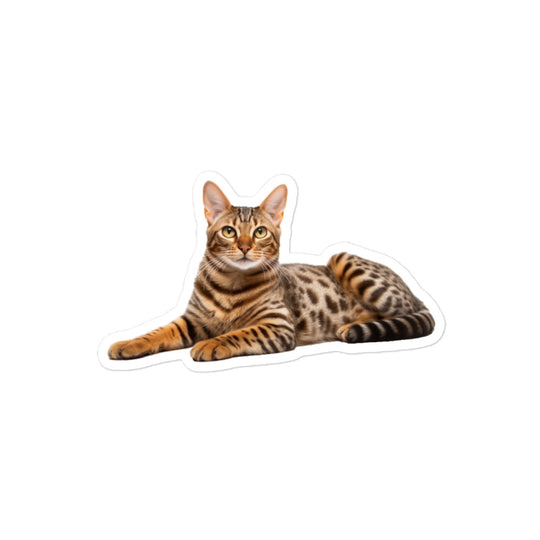 Ocicat Sticker - Stickerfy.ai