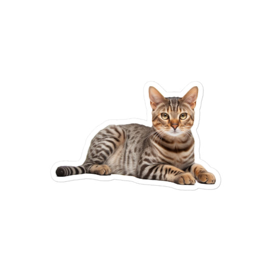 Ocicat Sticker - Stickerfy.ai