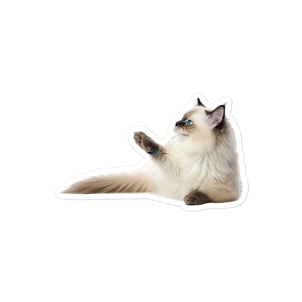 Ragdoll Sticker - Stickerfy.ai