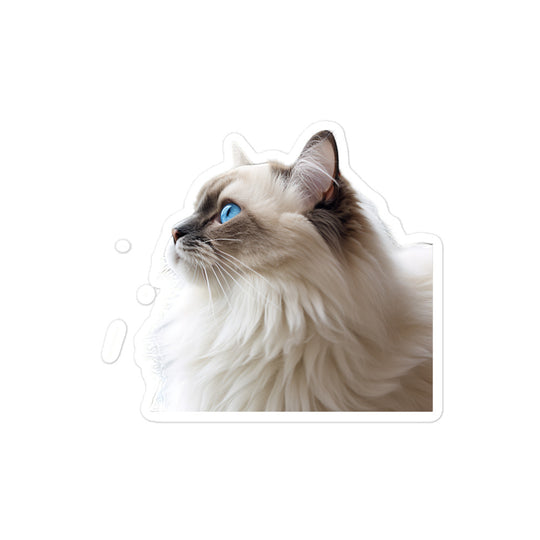 Ragdoll Sticker - Stickerfy.ai