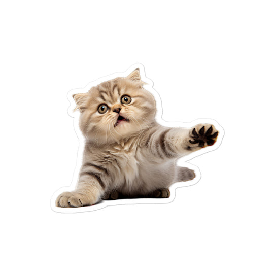 Scottish Fold Sticker - Stickerfy.ai