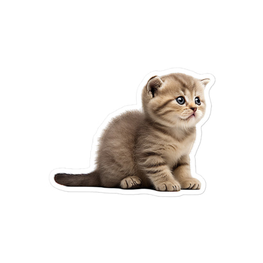 Scottish Fold Sticker - Stickerfy.ai